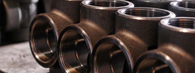 Socketweld Fittings Manufacturer in India